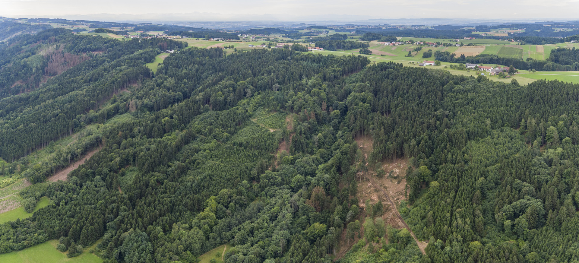 Plattform für den klimafitten Wald online Blick ins Land