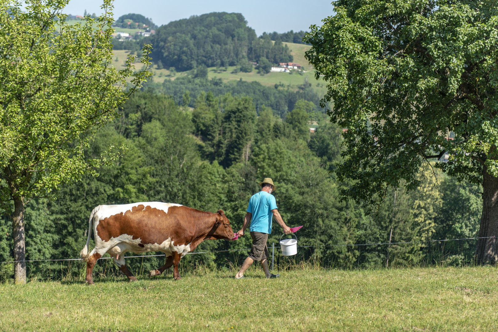 Online Fachtage über Weide und EU Bio Verordnung Blick ins Land