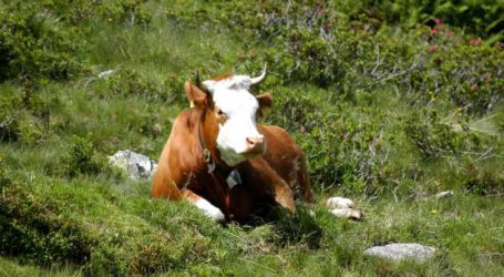 Fachtagung für Bio-Landwirtschaft