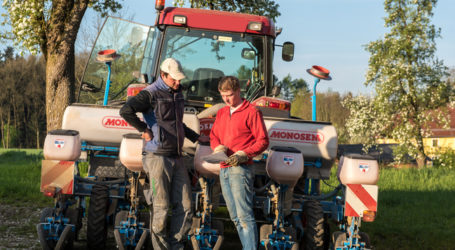 Weiter Streit um Neonicotinoid-Auswirkungen