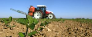 Weiter Streit um Pflanzenschutz-Verbot auf Greening-Flächen