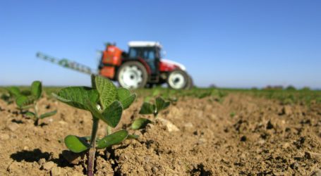 Weiter Streit um Pflanzenschutz-Verbot auf Greening-Flächen