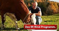 500 Betriebe mehr nehmen an M-Rind teil