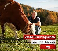 500 Betriebe mehr nehmen an M-Rind teil