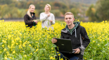 Oberösterreich: Breitband an allen Fachschulen