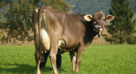 Dachverbände drängen Kommission zu CETA-Umsetzung