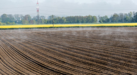 Bürgerbeteiligung zu GAP 2020 startet