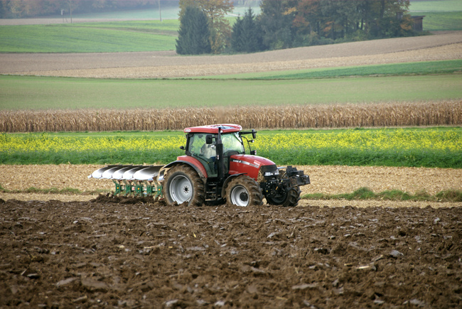 Biologische Landwirtschaft weltweit im Aufschwung - Blick ins Land