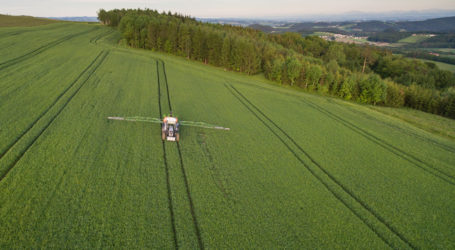 Syngenta muss Umsatzrückgänge hinnehmen