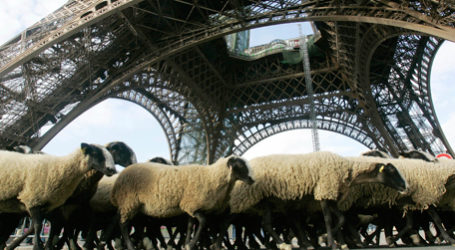 Marine Le Pen: Agrarpolitik besser in Paris als Brüssel aufgehoben