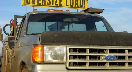 Trump will bei der Landwirtschaft sparen