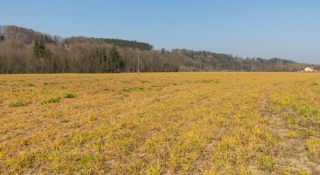 Industrie bezeichnet Glyphosat-Kampagne als „absurd“