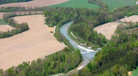 Vorrangflächen haben zu wenig Auswirkung auf Biodiversität