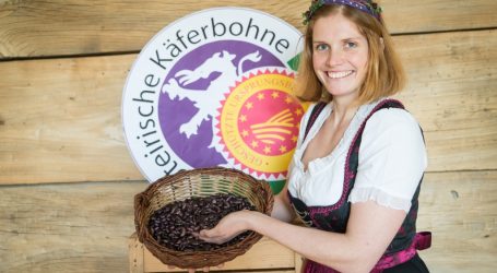 Käferbohne wird „gläsern“