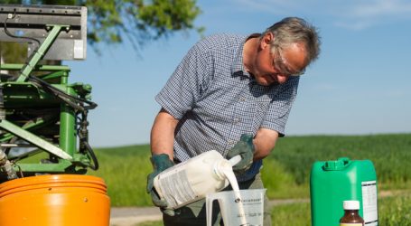 Fristverlängerung für Pflanzenschutz auf Greening-Flächen
