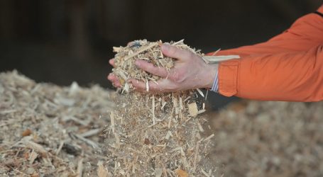 Erneuerbare Energie in Europa bei 17 Prozent