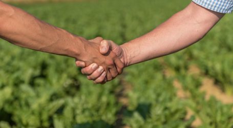 LK und LFI schwören Mitarbeiter auf Innovationsoffensive ein