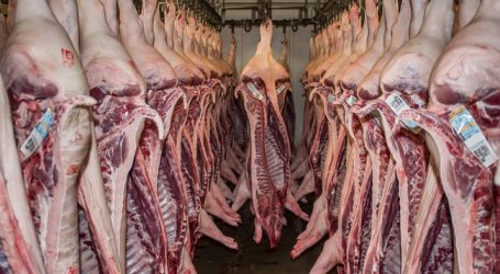 USA wichtigster Abnehmer europäischer Agrarprodukte