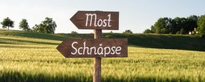 Obstbauern sehen Veredelung als Chance