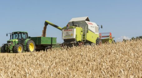 „Normale“ Getreideernte nach magerem Jahr erwartet