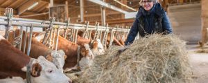ARGE Heumilch beschließt Tierwohl-Maßnahmen
