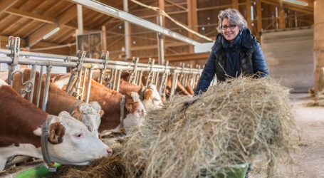 ARGE Heumilch beschließt Tierwohl-Maßnahmen
