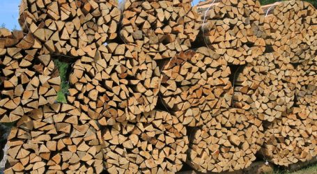 Zwei Millionen Haushalte heizen mit Holz