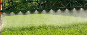 Kaum Pflanzenschutz-Rückstände in eupopäischen Produkten