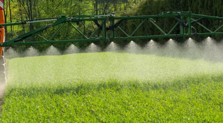 Kaum Pflanzenschutz-Rückstände in eupopäischen Produkten