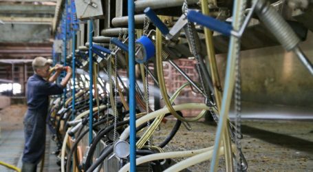 NÖM-Übernahme: Verhandlungen sollen heuer abgeschlossen sein