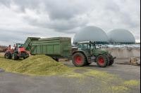 „Wer Ökostrom abdreht, dreht Atomstrom auf“