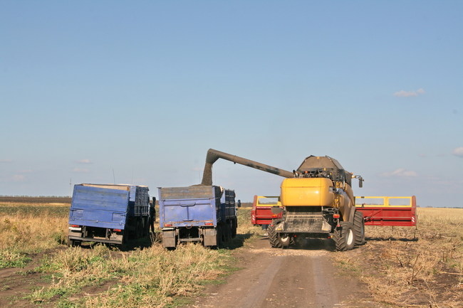 Russland Beschleunigt Kreditvergabe An Landwirte Blick Ins Land