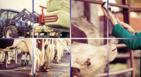 Neue Messe „Animal Tech“ in Brünn