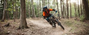 Bundesforste mit 40 neuen Mountainbike-Trails