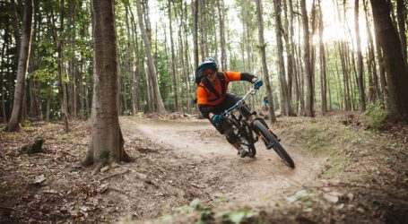 Bundesforste mit 40 neuen Mountainbike-Trails
