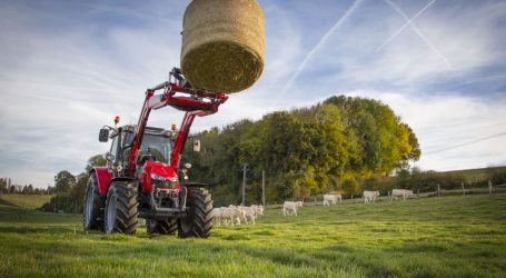 MF 5700 SL als „perfekter Allrounder“