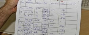 Kammern wollen „beraten statt strafen“