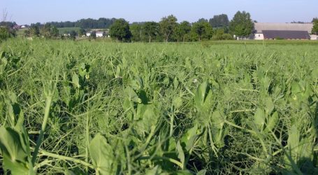 EU-Agrarausschuss gegen Greening-Pflanzenschutzverbot