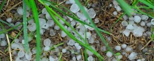 Hagelunwetter in Kärnten schädigt 2.500 Hektar