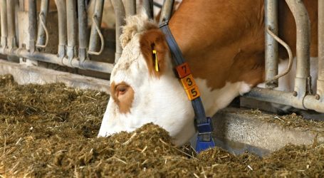 EU-Milchpreis erstmals seit neun Monaten wieder rückläufig