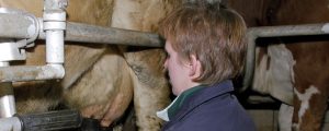 Milch: Überraschender Lieferrückgang in Deutschland