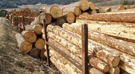 Sägewerke gut mit Nadelholz bevorratet