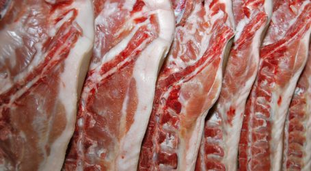 Europäische Agrarexporte auf Rekordniveau