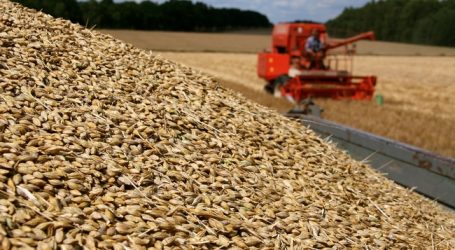 Bio Austria gibt Richtpreise für Futtergetreide heraus
