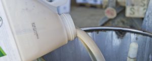 Greening-Flächen: Pflanzenschutzverbot rückt näher