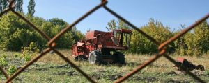 Ostukraine: Waffenruhe für Getreideernte