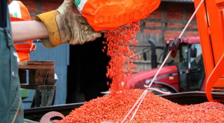 EU-Kommission will Neonicotinoide ganz verbieten