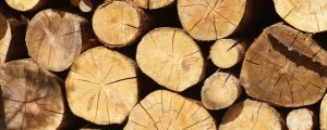 Holzindustrie braucht gute Rohstoffverfügbarkeit
