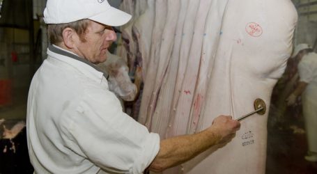 EU steigert Agrarexporte