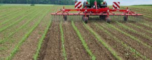 Bio-Beschluss frühestens im Herbst